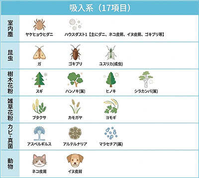 吸入系（17項目）