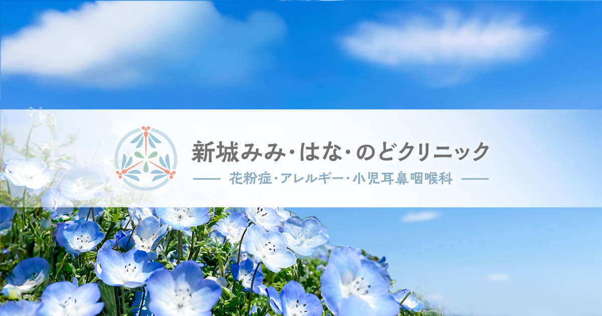 川崎市中原区の耳鼻咽喉科｜新城みみ・はな・のどクリニック｜武蔵新城駅